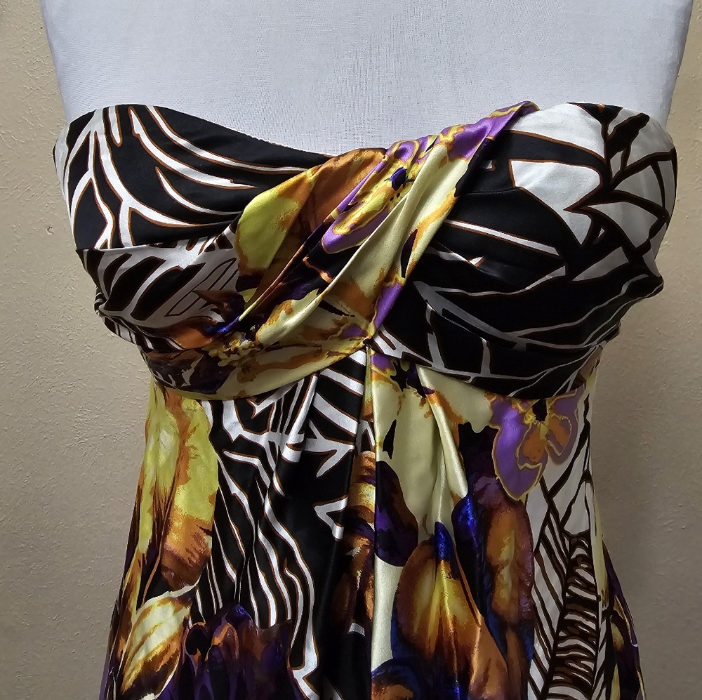 Cache Silk Dress - Picture 4 of 10